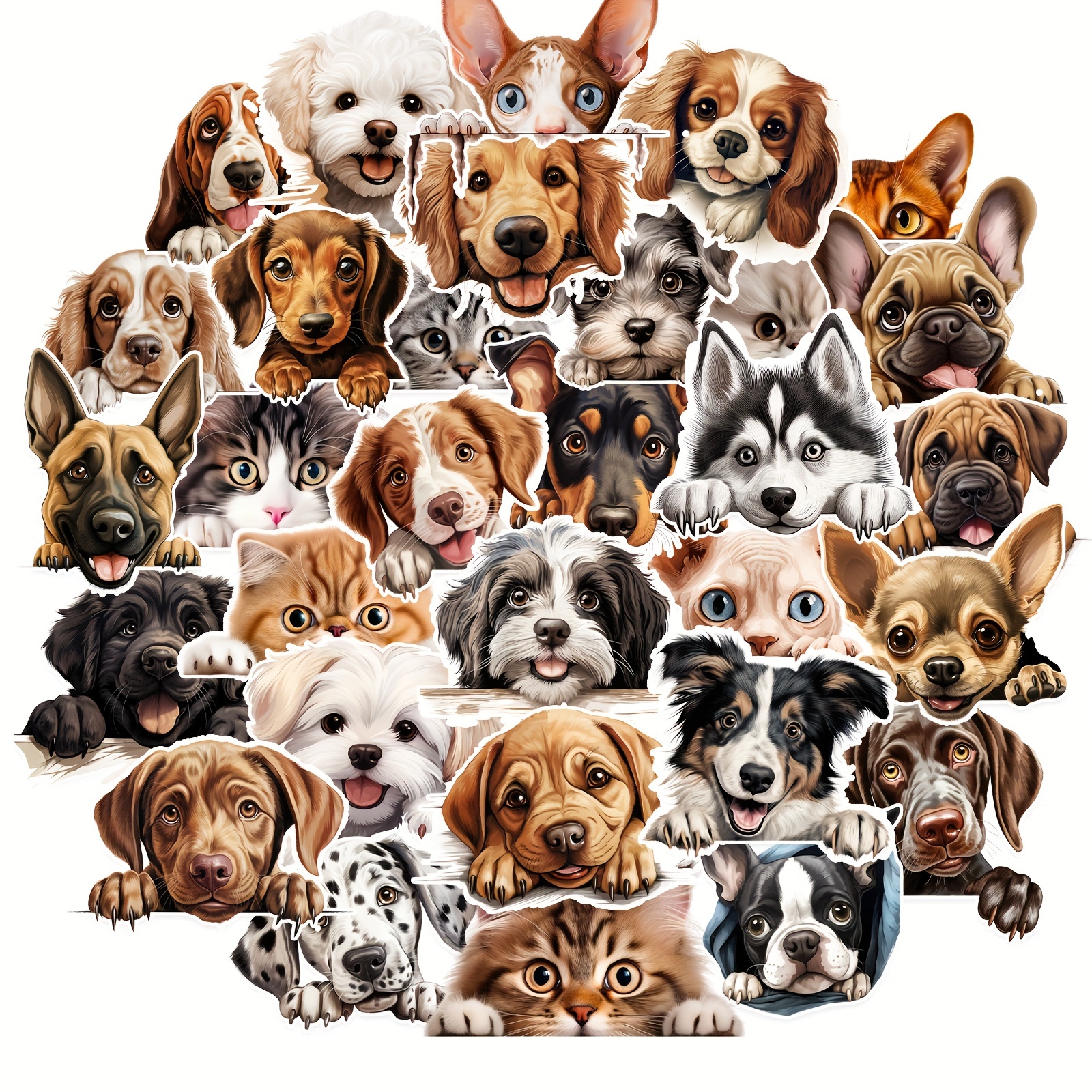 Laptop Accessories Organizer Bag - 50pcs/Bag Fun Cat Dog Stickers,Waterproof, Be