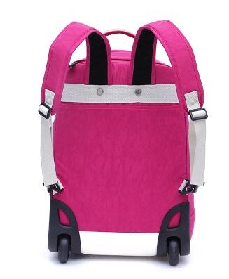 18 Inch Wheeled Backpacks for  - đánh giá và giá Laptop Accessories Organizer Bag